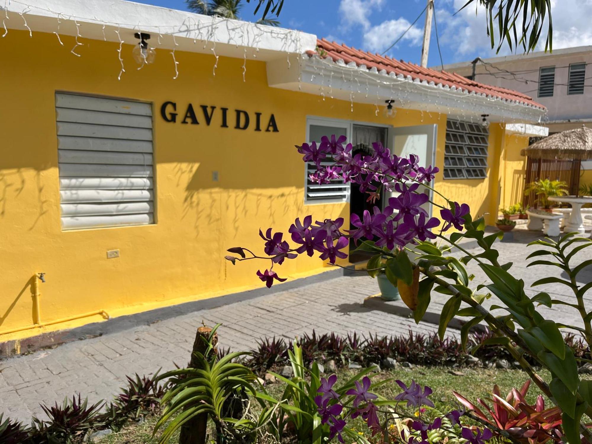 Gavidias Guest House San Lorenzo Eksteriør billede